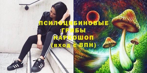 эйфоретик Пестово