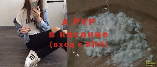трава Пересвет