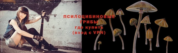 эйфоретик Пестово
