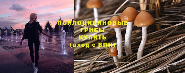 эйфоретик Пестово