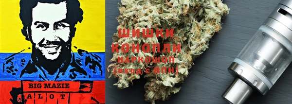 трава Пересвет