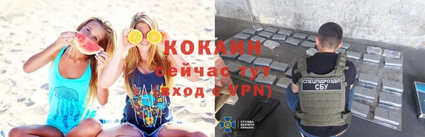 трава Пересвет