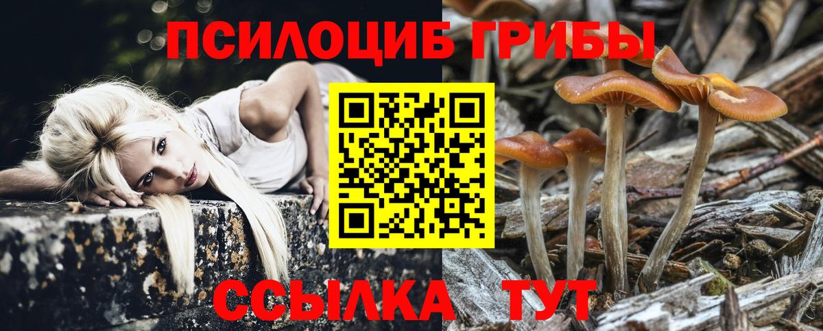 Галлюциногенные грибы мухоморы Белореченск