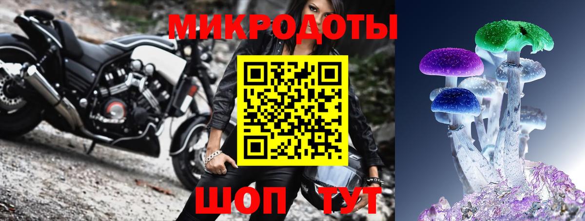 Псилоцибиновые грибы Psilocybine cubensis  Вход с VPN  наркотики  Галлюциногенные грибы мухоморы  Белореченск 